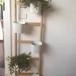Rosen Garden Apartment *