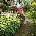 Rosen Garden