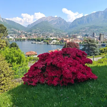 Lägenhet Rosen Garden