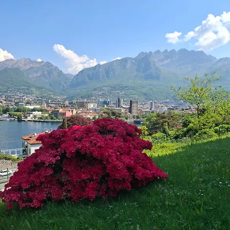 Rosen Garden Malgrate