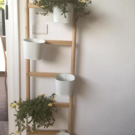 Rosen Garden Apartment *