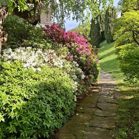 Rosen Garden