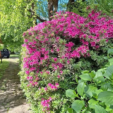 Apartment Rosen Garden *