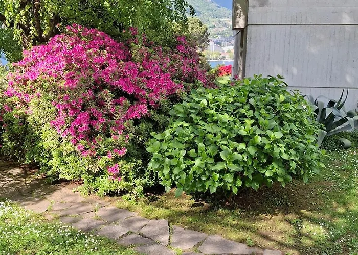 Rosen Garden