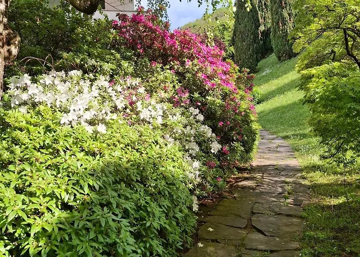 Rosen Garden