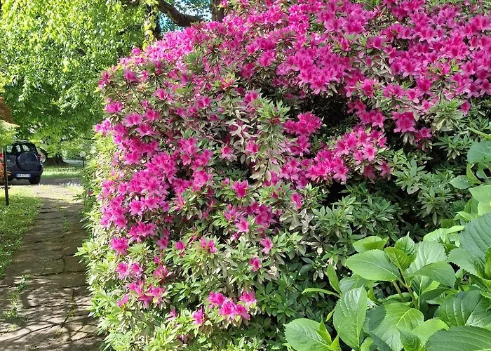 Apartment Rosen Garden *